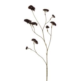 40270012-br.jpg