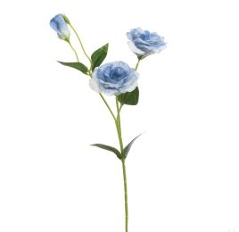 LYSIANTHUS 67CM BLUE