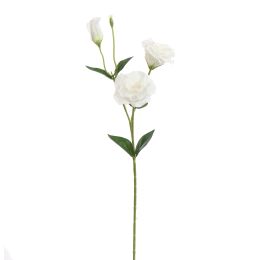 LYSIANTHUS 67CM CREAM