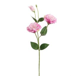 LYSIANTHUS 67CM LAVENDER