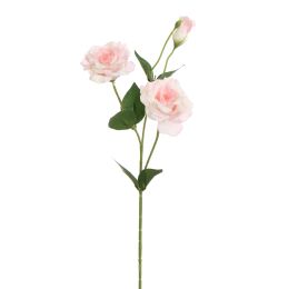 LYSIANTHUS 67CM PINK