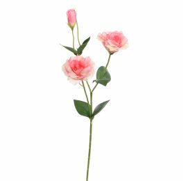 LYSIANTHUS 67CM SALMON