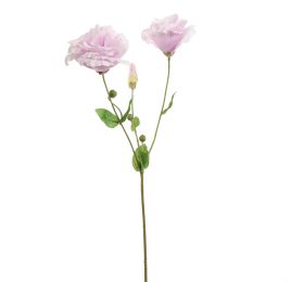 LYSIANTHUS 70CM LILA