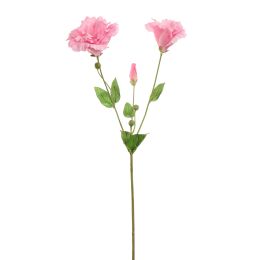 LYSIANTHUS 70CM PINK