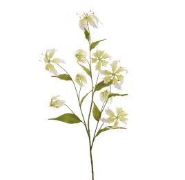LARGE GLORIOSA SPRAY X 9 125CM CREAM GREEN