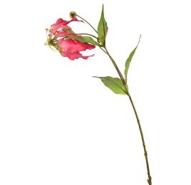GLORIOSA SPRAY 70CM FUCHSIA