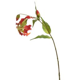 GLORIOSA SPRAY 70CM RED