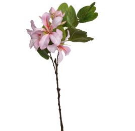 BAUHINIA SPRAY 60CM PINK