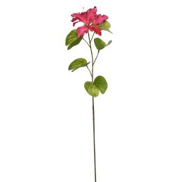 BAUHINIA SPRAY 75CM BEAUTY