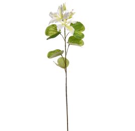 BAUHINIA SPRAY 75CM CREAM