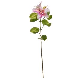 BAUHINIA SPRAY 75CM CREAM PINK