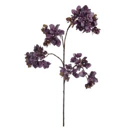LARGE BOUGAINVILLEA 120CM PURPLE