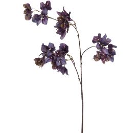BOUGAINVILLEA 90CM PURPLE