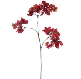 BOUGAINVILLEA 90CM RED