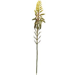 ALOE FLOWER BRANCH 38CM GREEN