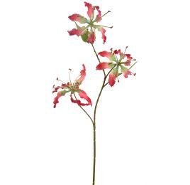 GLORIOSA X3 SPRAY 64CM BEAUTY