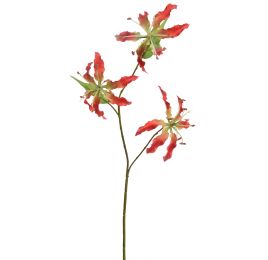 GLORIOSA X3 SPRAY 64CM CORAL