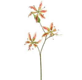 GLORIOSA X3 SPRAY 64CM GREEN PINK