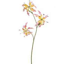 GLORIOSA X3 SPRAY 64CM PINK