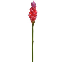 GINGER LILY 85CM BEAUTY