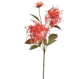 SPIDER MUM SPRAY 70CM CORAL