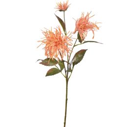 SPIDER MUM SPRAY 70CM PEACH