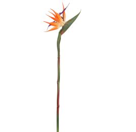 BIRD OF PARADISE 58CM ORANGE
