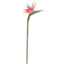 BIRD OF PARADISE 58CM RED