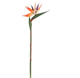 BIRD OF PARADISE 85CM ORANGE