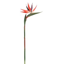 BIRD OF PARADISE 85CM RED