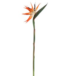 BIRD OF PARADISE 95CM ORANGE