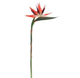 BIRD OF PARADISE 95CM RED