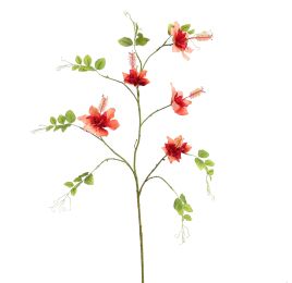 FAIRY FLOWER 115CM SALMON