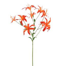 LYCORIS RADIATA 90CM ORANGE