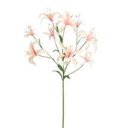 LYCORIS RADIATA 90CM PEACH