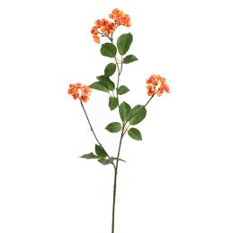 EUPONYMOUS 82CM ORANGE
