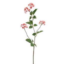 EUPONYMOUS 82CM PINK