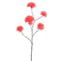 TABEBUIA TRUMPET 115CM PINK