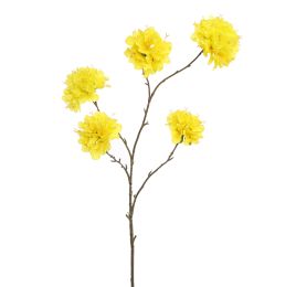 TABEBUIA TRUMPET 115CM YELLOW