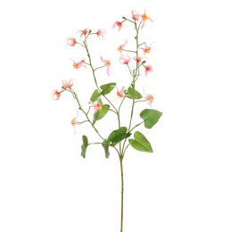 EPIMEDIUM 77CM PINK