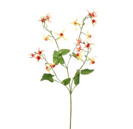 EPIMEDIUM 77CM YELLOW