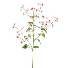 LARGE EPIMEDIUM 115CM BEAUTY