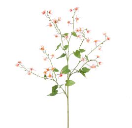 LARGE EPIMEDIUM 115CM PINK