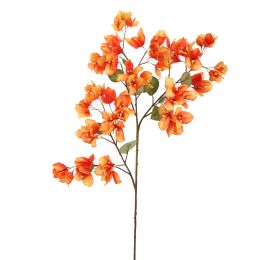 BOUGAINVILLEA 90CM ORANGE