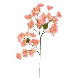 BOUGAINVILLEA 90CM PINK