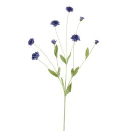 CORNFLOWER 90CM BLUE