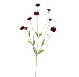 CORNFLOWER 90CM BORDEAUX