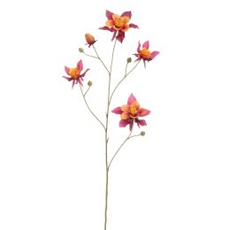 COLUMBINA 104CM BEAUTY