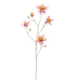 COLUMBINA 104CM LILA