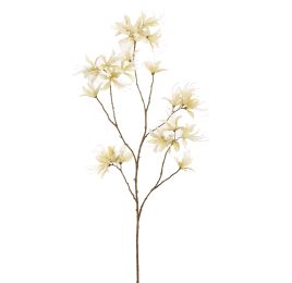 MONARDA FLOWER 115CM CREAM GREEN